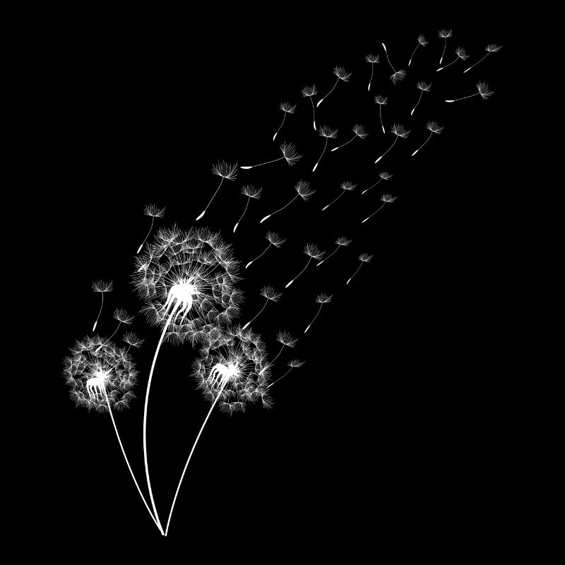 Dandelion Spore Flight Flying Seeds Wild Herbs Garden