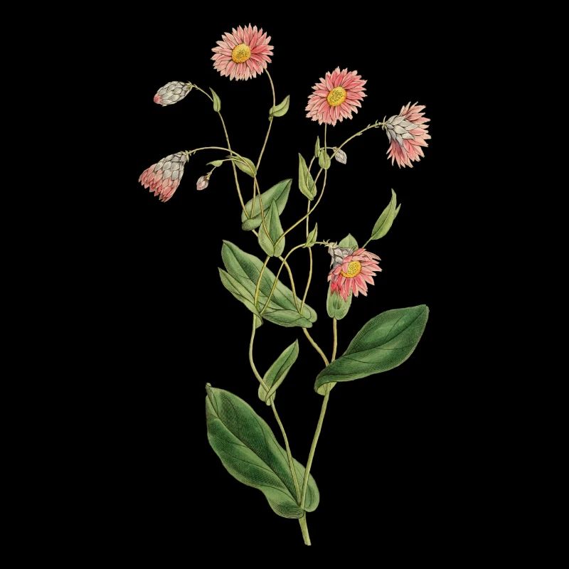 Blumen Geschenk Idee Geburtstag