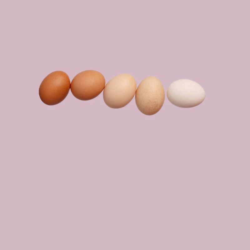 eggs