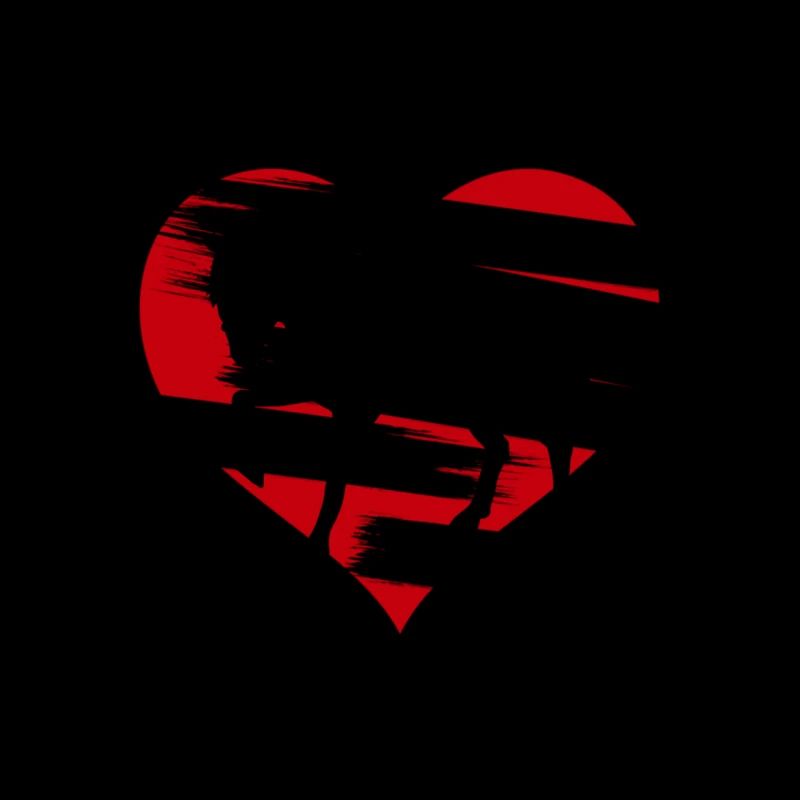 Pferdeshirt - Pferde Silhouette mit Herz