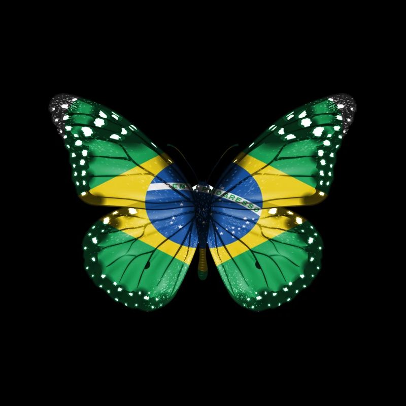 Drapeau papillon du brésil