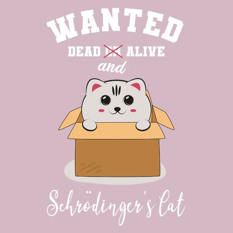 Chat de schrödinger physique chat chaton mignon