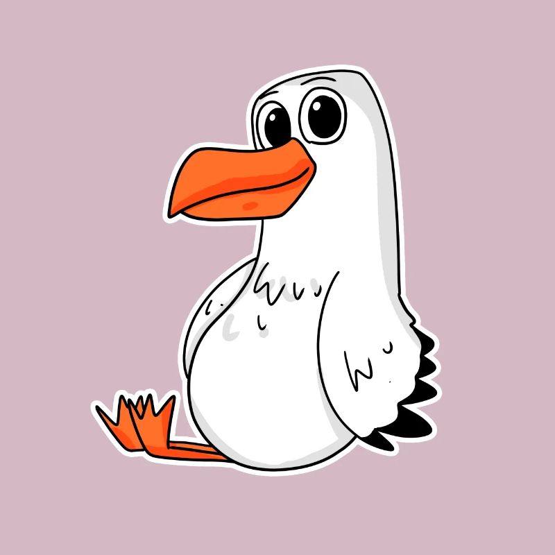 Möwe