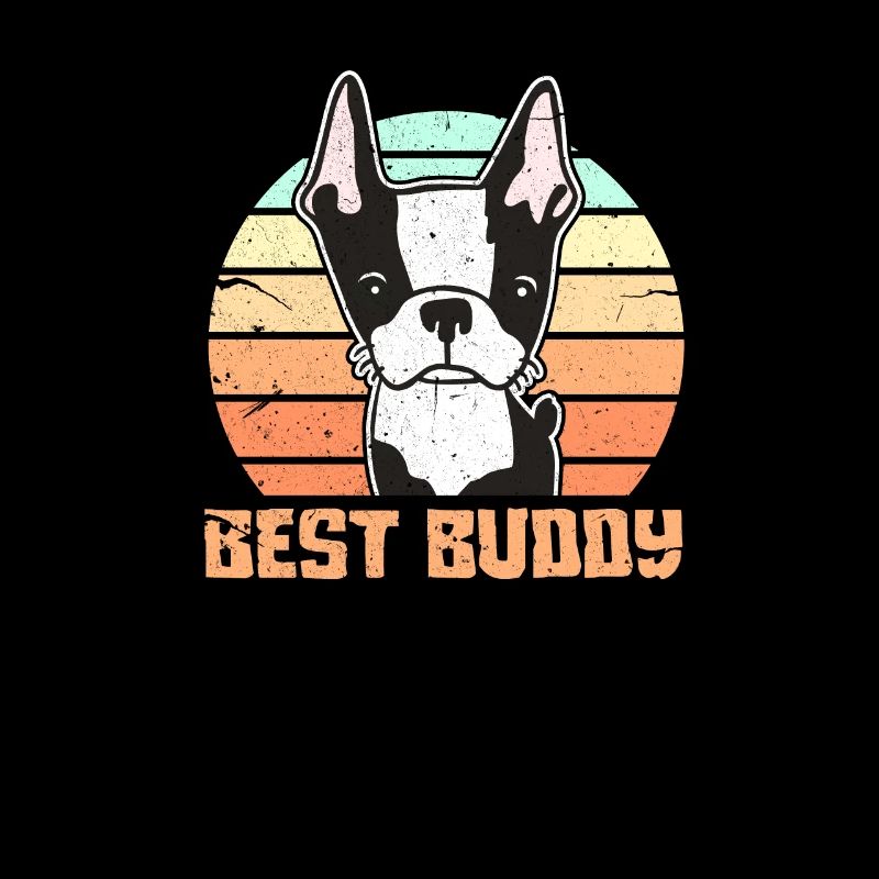 Boston Terrier