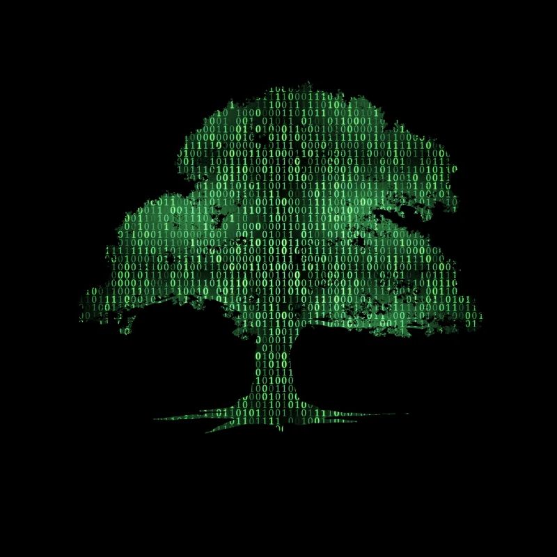 Programmeur de codage d'ordinateur d'arbre binaire