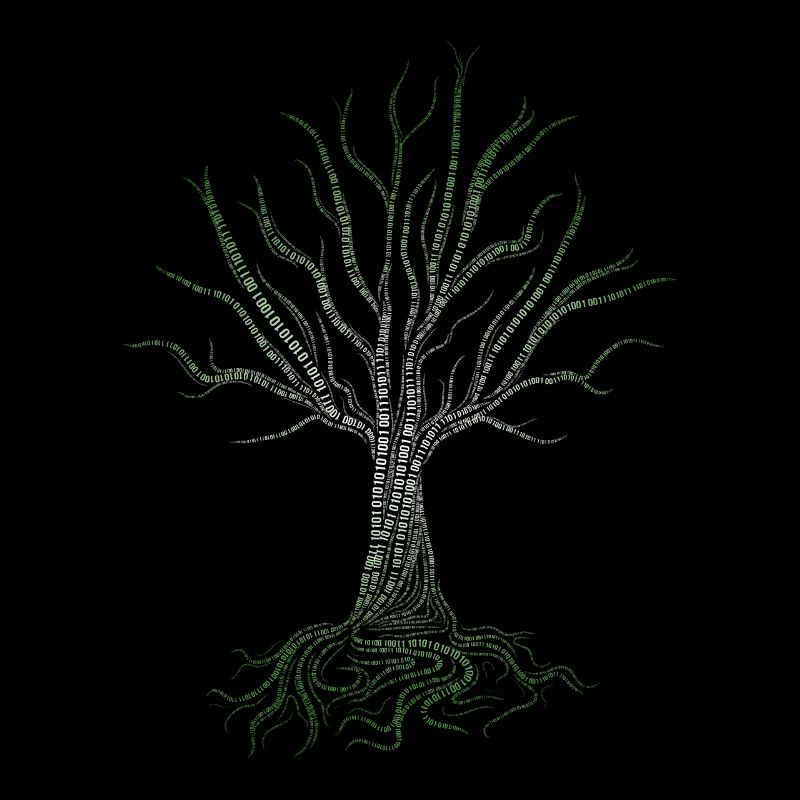 Binary Tree Computer Coding Programmer