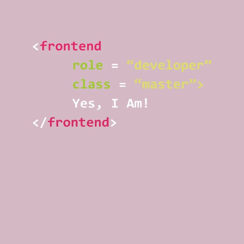Frontend Developer Funny Gift Coder Programmer