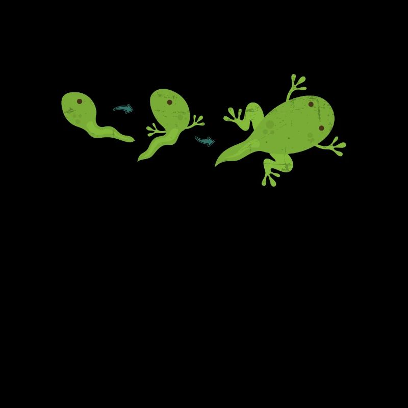Frog Life Cycle Toad Tadpole Bull Tree Amphibian