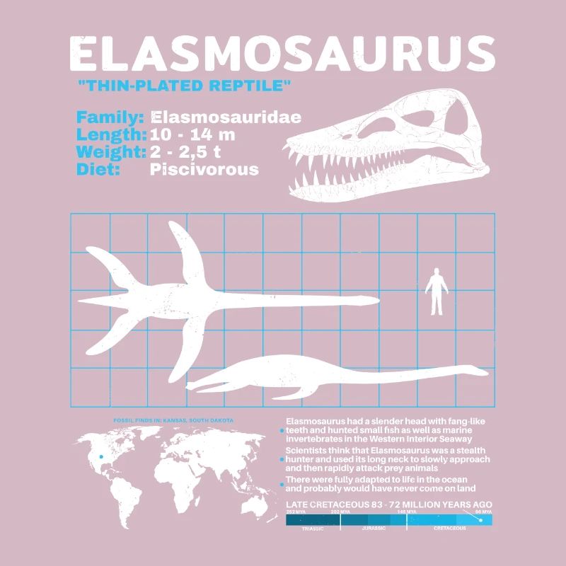 Fiche d’information sur Elasmosaurus