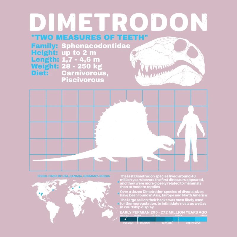 Fiche technique Dimetrodon