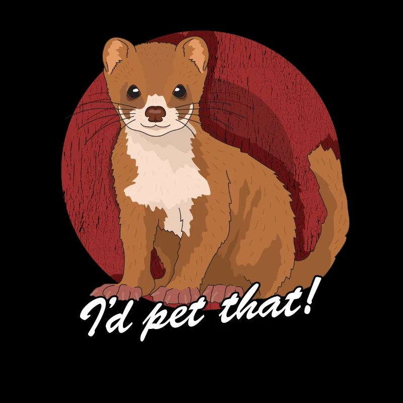 Weasel Mouse Weasel Dwarf Weasel Gift
