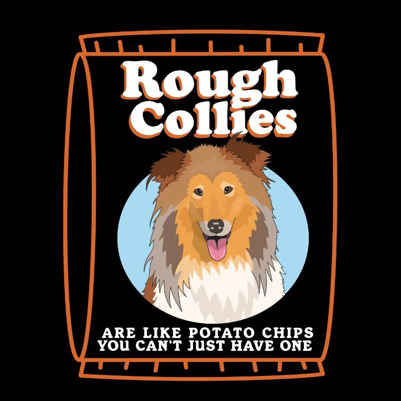Collie chien à poil long Collie Collies cadeau
