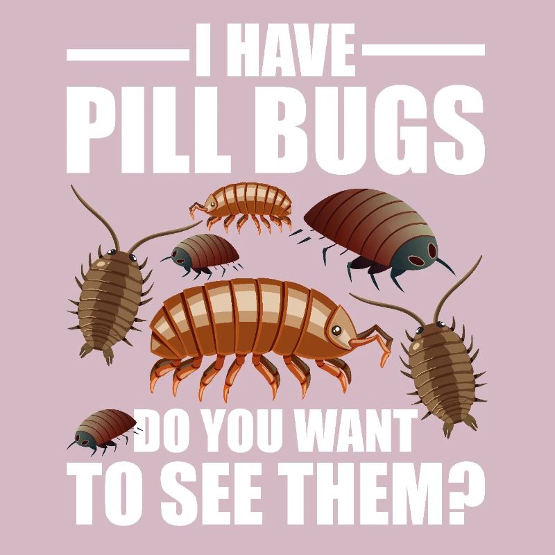 Rollie Pollie Entomology Owner Roly Poly Pill bug