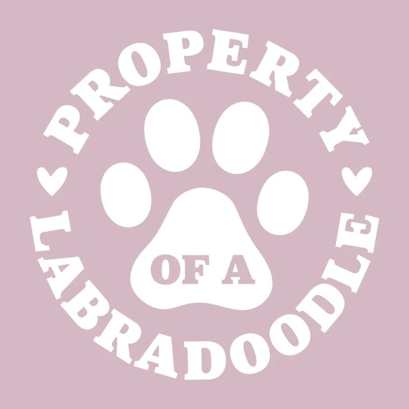 Eigentum eines Labradoodles