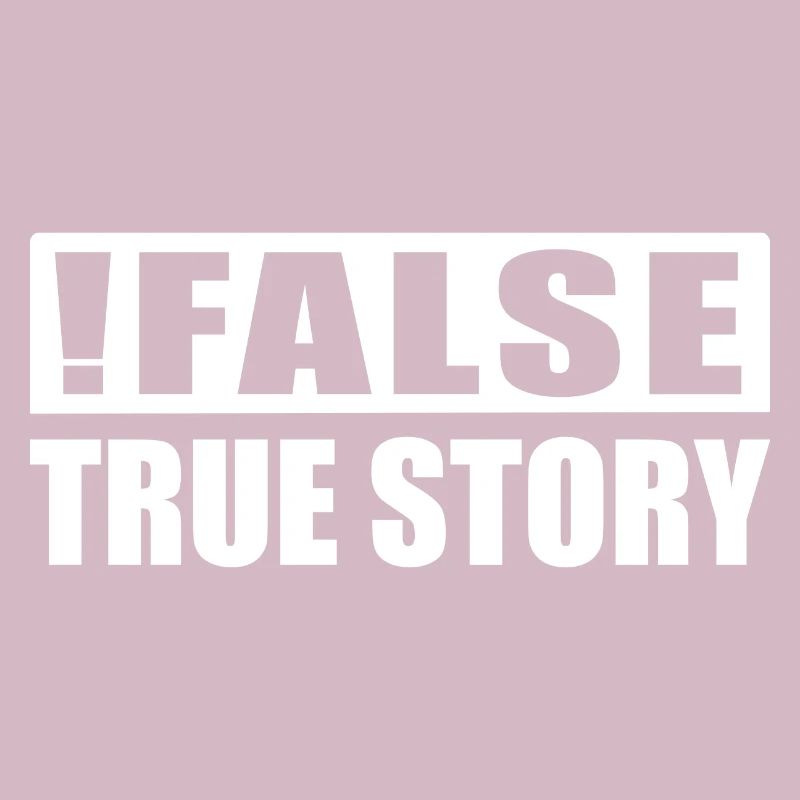 False True Story Informatiker Nerd ITler Geschenk