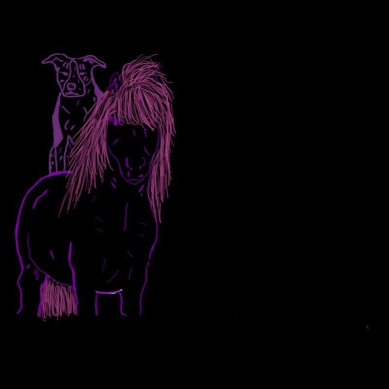Cheval et chien