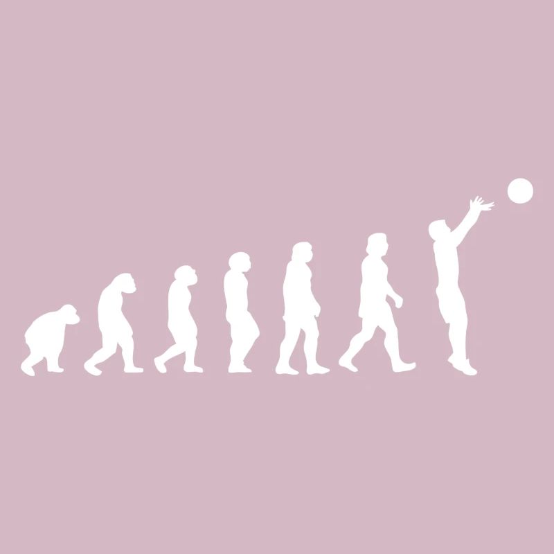 Basket évolution