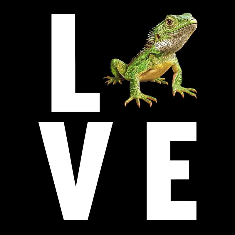 Lizards Lizard
