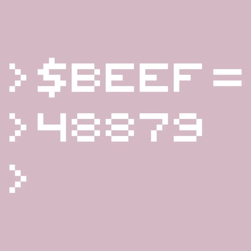 BEEF 8-bit Code Nerd Pixel Terminal Rétro