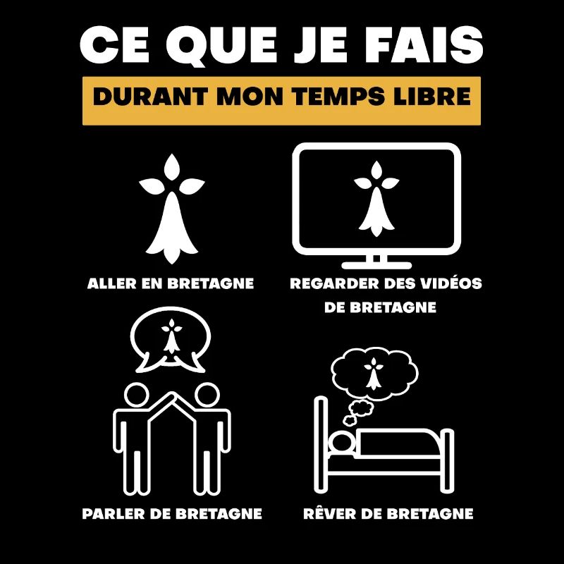 bretagne hermine durant temps libre