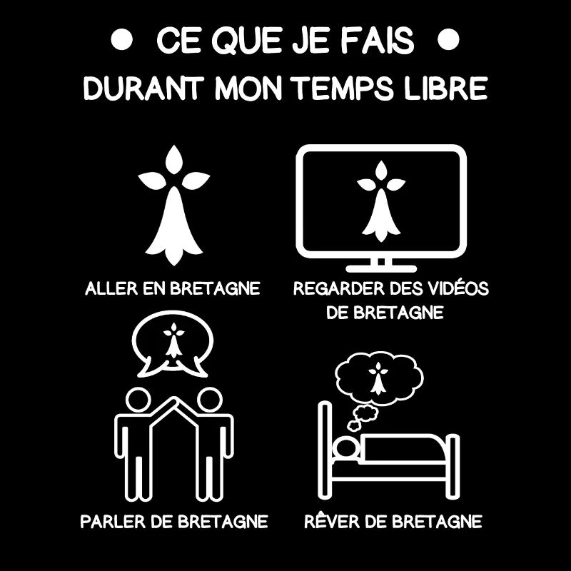 cadeau bretagne hermine temps libre voyage