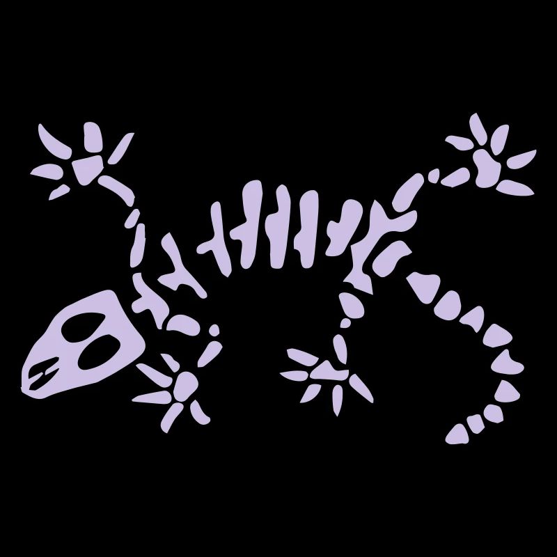 Amateurs de Gecko