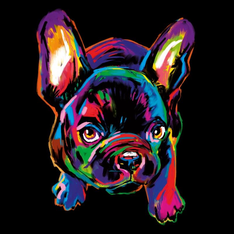 P.D. Moreno Bunter Hund