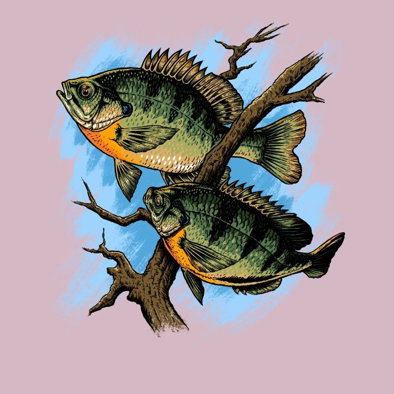 Crapet Arlequin Illustration Pêche Pullover conception