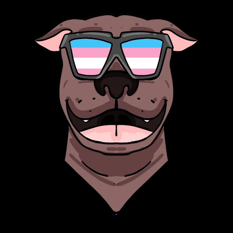 American Pit Bull Terrier