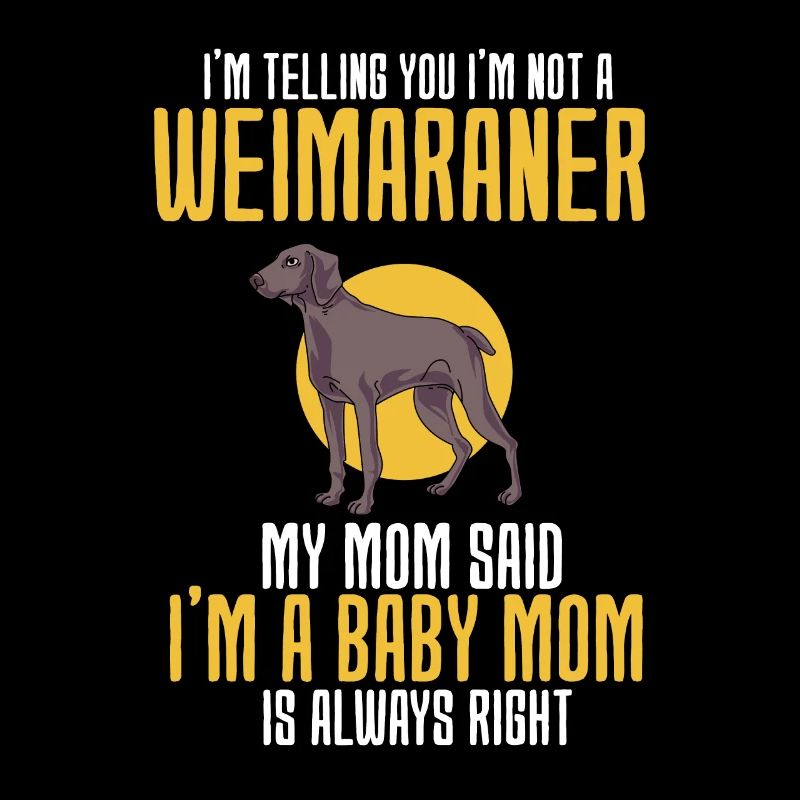Weimaraner