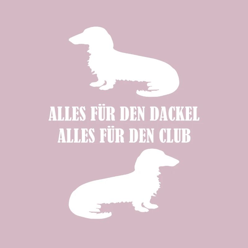 Everything for the dachshund