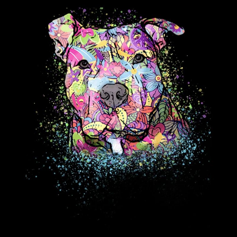 Pitbull