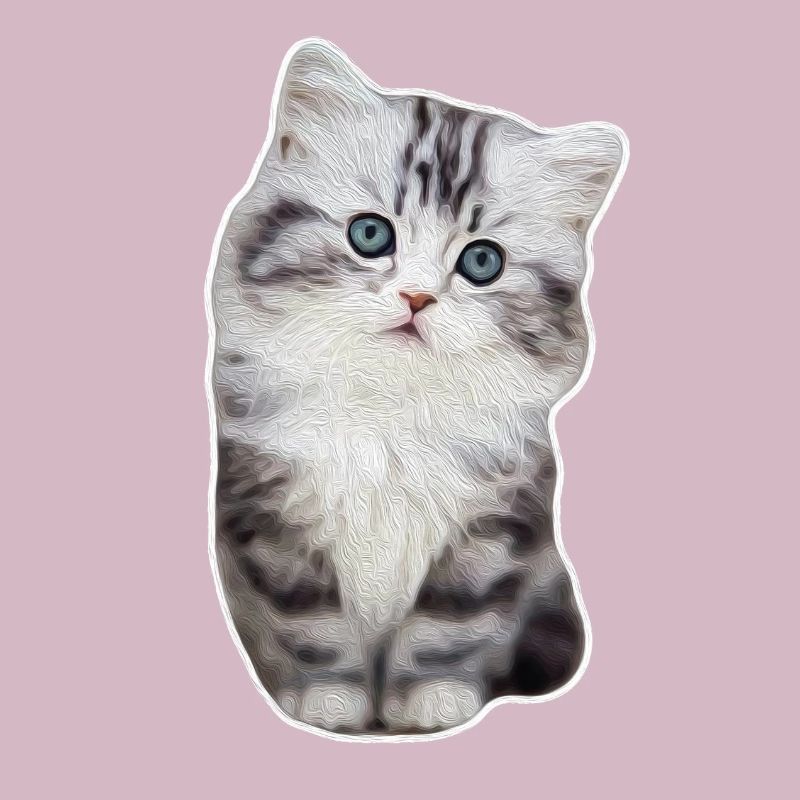 Chat de patte de velours mignon kitty kitty