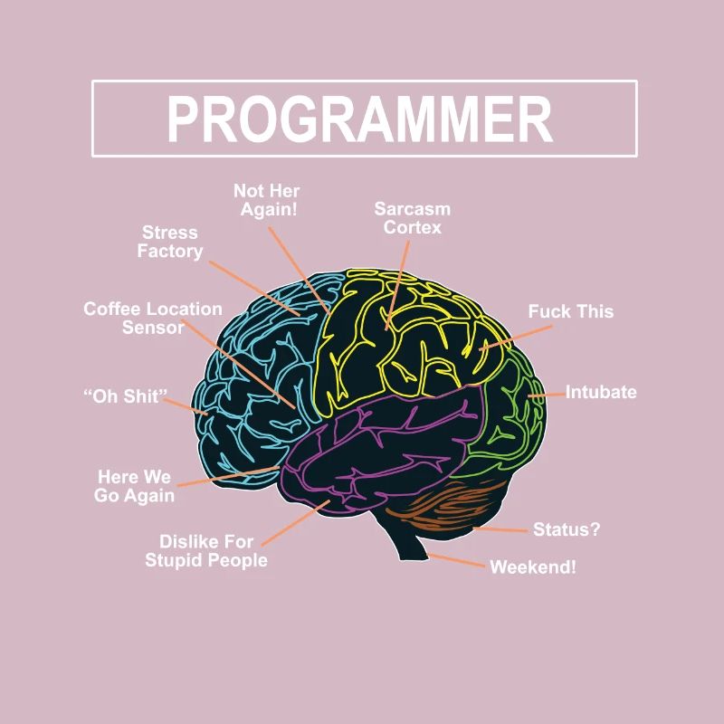 Programmeurs