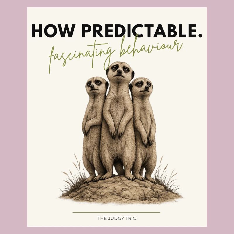 How Predictable Meerkat Trio