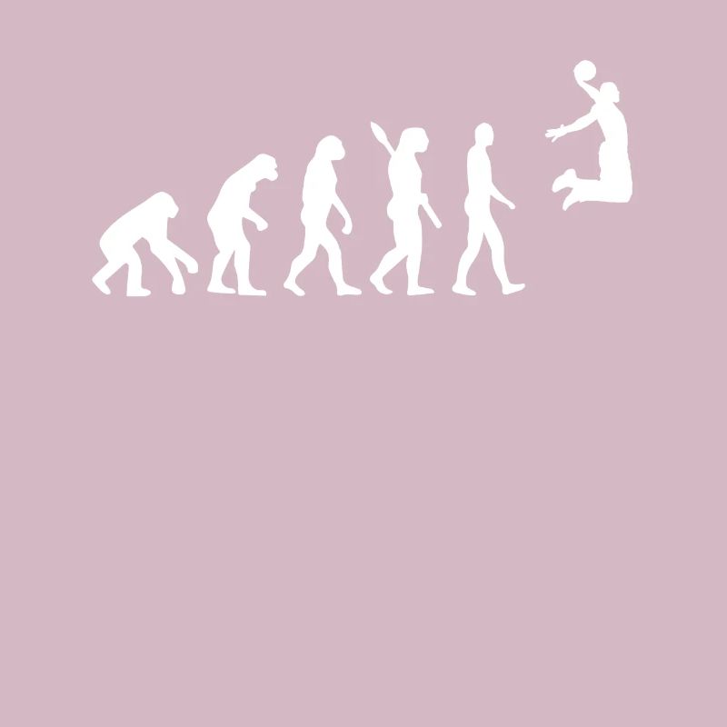Evolution du basket