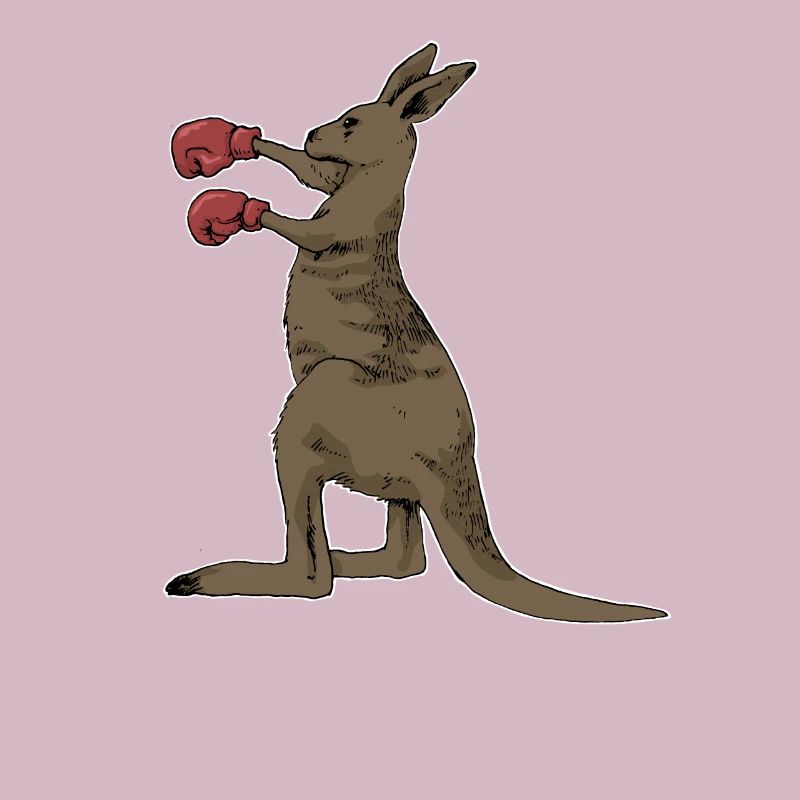 Kangourou boxe