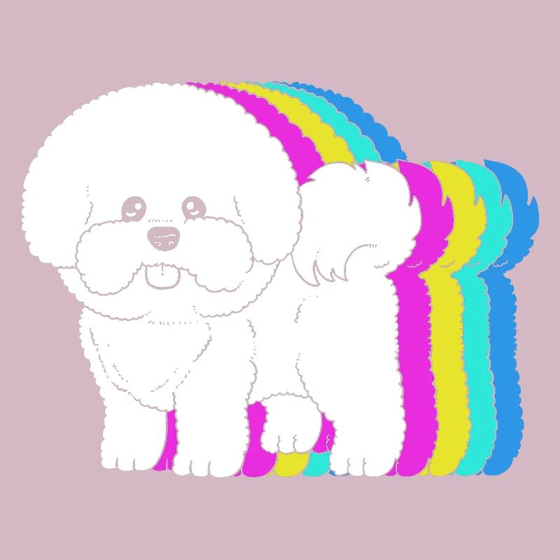 Bichon Frise