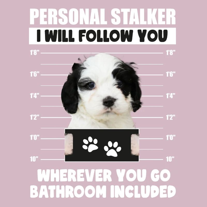 Funny Personal Stalker Dog Cavapoo Owner Gift