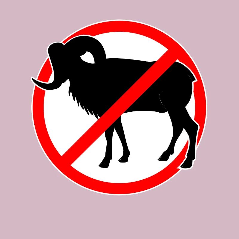 Ziegen oder Mufflons verboten - Ziege