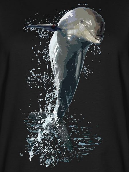 Delfin