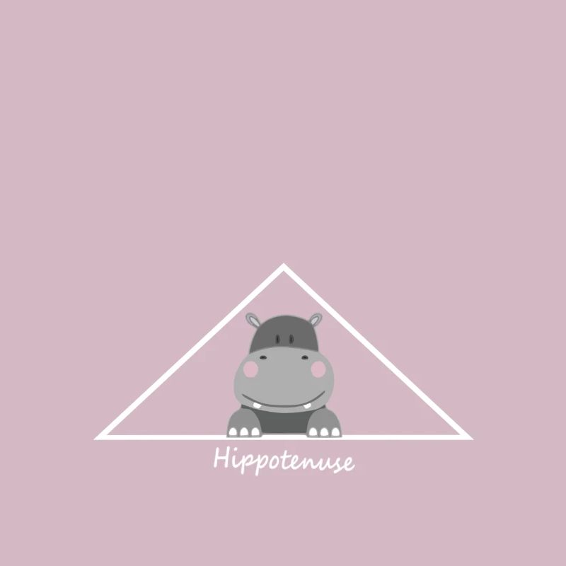 Triangle avec Hippotenuse