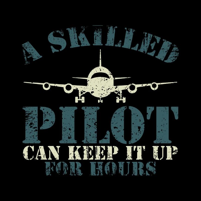 Le pilote