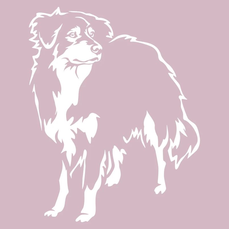 Australian Shepherd "Black Edition"