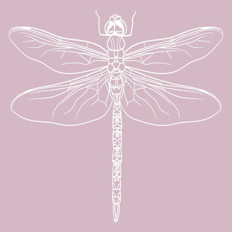Libellule silhouette blanc