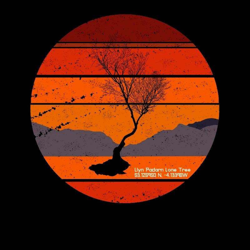 Llanberis Lonely Tree