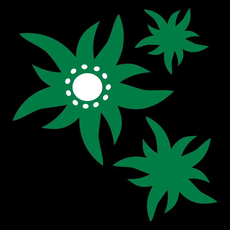 3 fleurs Fleurs d'Edelweiss