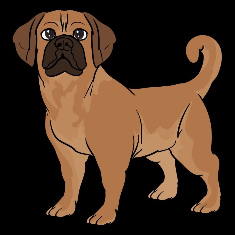 Puggle Beagle Pug Dog