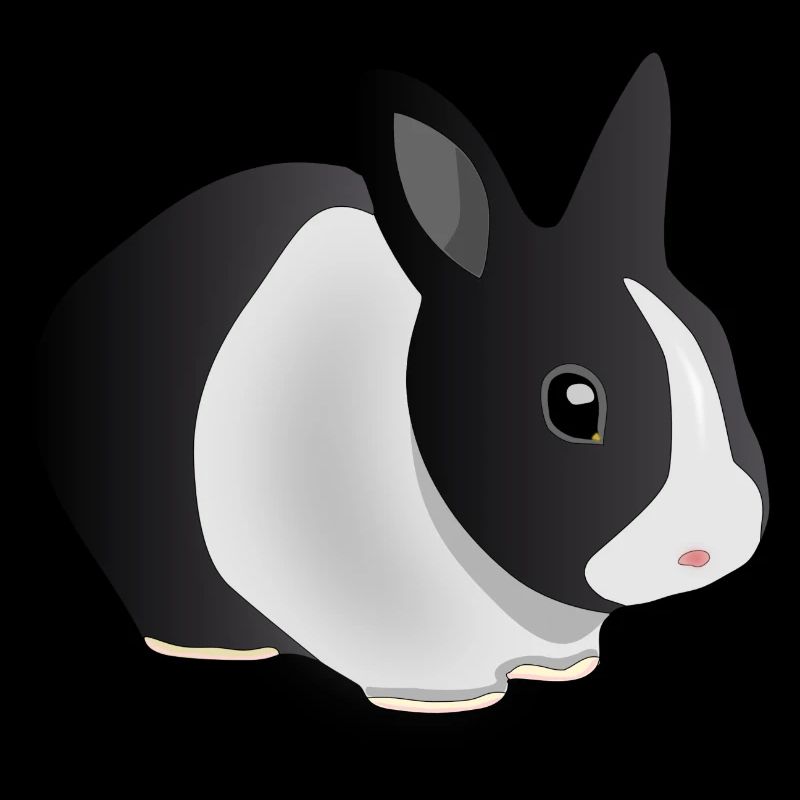 Hase