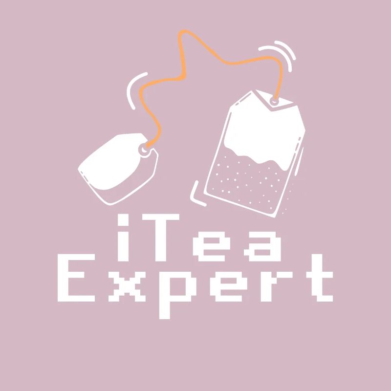 Itea Expert Computer Software Programmer